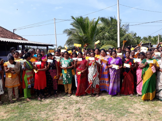 Sri Lanka Mangrove Conservation Program photo